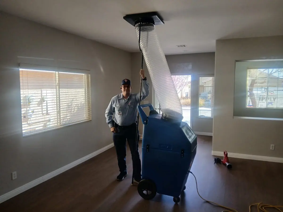 Professional Dryer Vent Cleaning work inside a Harvey home